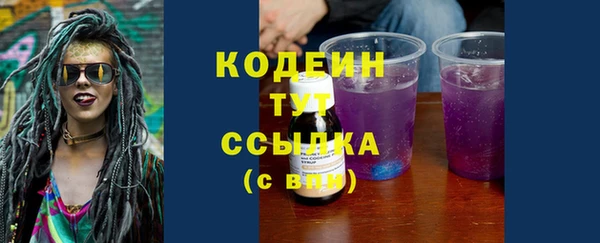 гидра Анжеро-Судженск