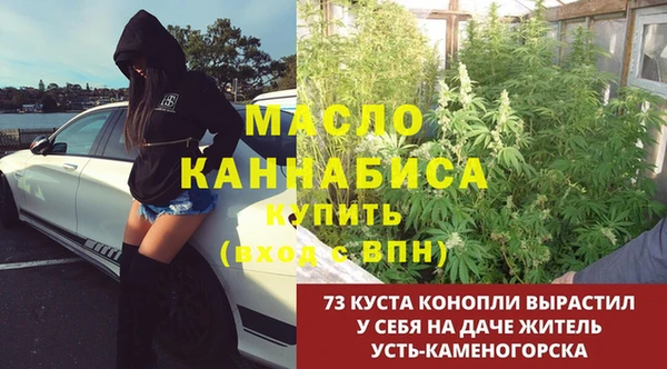 прущая мука Каменка
