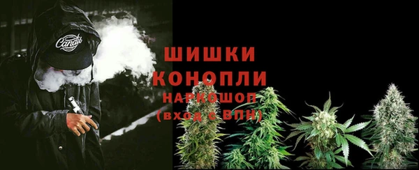 прущая мука Каменка