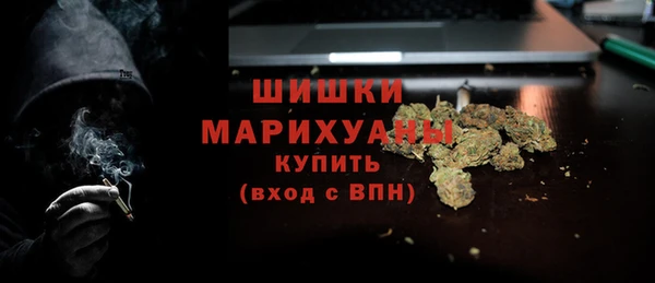 прущая мука Каменка