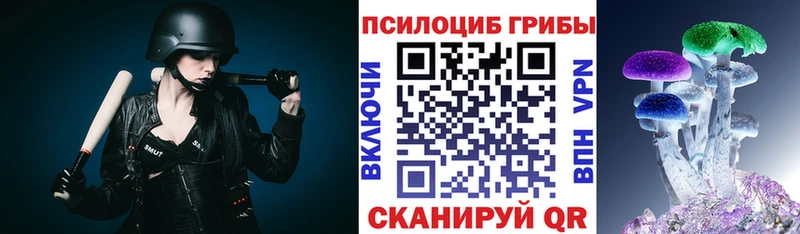 Галлюциногенные грибы Psilocybine cubensis  Камешково 